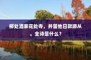 云端谦逊，晨光启示录，人生舞台的谦卑与辉煌