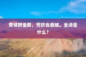 纠缠不清的解释