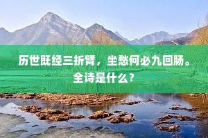 谦逊之光，好评非自夸堆砌，而是实力与谦逊的交响