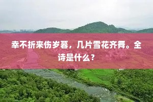 鸠僭鹊巢的释义