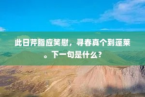 谦逊之光，孟德斯鸠警世恒言下的生活哲学