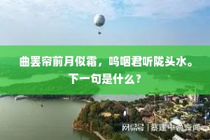 笑我青衫敝，西风曳帝阍。的释义