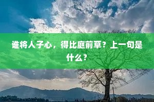 谦卑之光，穿透浮华，照亮真我之路