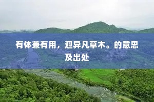 正义之光，千锤百炼的灵魂觉醒