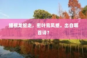 金钱与正义的双刃剑，芥川之语下的现实镜像