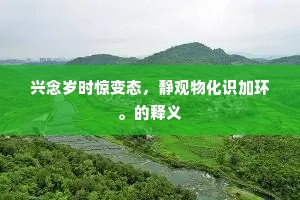 永巷沉沉夜漏稀，玉阶寂寂雪花飞。上一句是什么？
