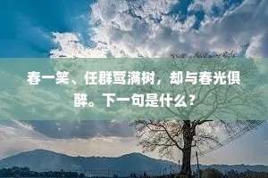 正直之光下的偏见阴影，歌德警世之言的深邃启示