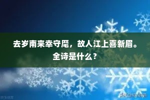 牺牲之美，爱因斯坦笔下的人生真谛，直击灵魂深处的奉献颂歌