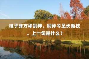 奉献之光，心灵深处的幸福密码