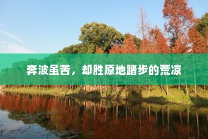 奔波虽苦，却胜原地踏步的荒凉