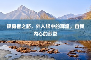 孤勇者之路，外人眼中的辉煌，自我内心的煎熬