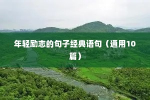 公司早安励志语录（通用8篇）