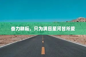 奋力耕耘，只为满目星河皆所爱
