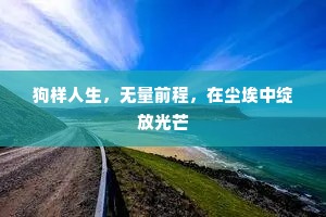狗样人生，无量前程，在尘埃中绽放光芒