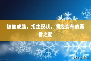 破茧成蝶，拒绝现状，拥抱变革的勇者之路