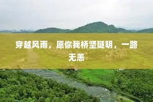 穿越风雨，愿你我桥坚隧明，一路无恙