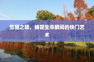 觉醒之眼，捕捉生命瞬间的快门艺术