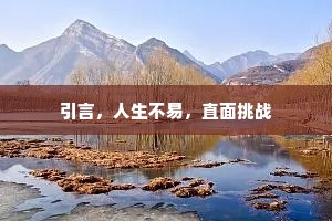 大意略观便言返，宁毋迟待羽林臣。下一句是什么？