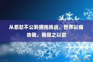 从怨怼不公到拥抱挑战，世界以痛吻我，我报之以歌
