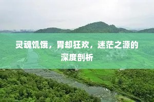 灵魂饥饿，胃却狂欢，迷茫之源的深度剖析