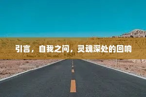 引言，自我之问，灵魂深处的回响