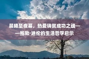 晨曦至夜幕，热爱铸就成功之魂——鲍勃·迪伦的生活哲学启示