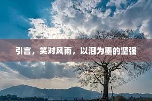 引言，笑对风雨，以泪为墨的坚强