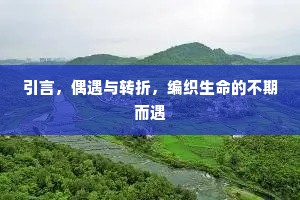 引言，偶遇与转折，编织生命的不期而遇