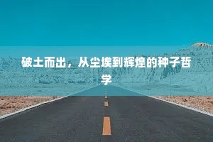 破土而出，从尘埃到辉煌的种子哲学