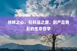纯粹之心，引好运之潮，副产品背后的生命哲学