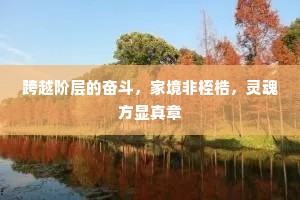 跨越阶层的奋斗，家境非桎梏，灵魂方显真章
