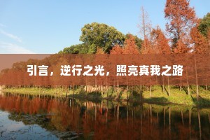 引言，逆行之光，照亮真我之路