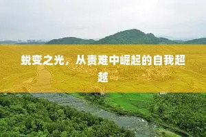 蜕变之光，从责难中崛起的自我超越