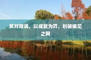 笑对嘲讽，以成就为刃，划破偏见之网