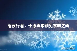 暗夜行者，于漆黑中预见黎明之美