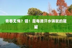 青春无悔？错！是每滴汗水铸就的璀璨