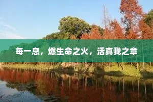 每一息，燃生命之火，活真我之章