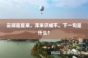 重来得更仆，千偈不须说。出自哪首诗？