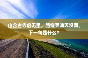 偶逢故老谈遗事，旋拂苍苔读旧碑。的解释