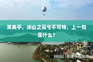 更年少轩昂，风流才艺，任教天妒。下一句是什么？