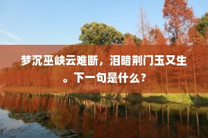 天涯客子夜索衣，箧中惟有江南苎，全诗是什么？