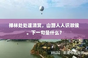 懒龙入户养慵枝，罢听风雷却听诗。下一句是什么？