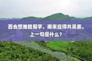 如此时光，无聊吟咏，愁痕渍满吴笺。全诗是什么？