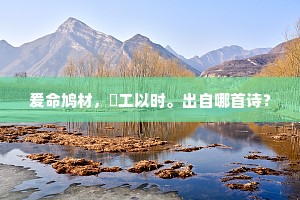 解锁自我精华，独步人生香径