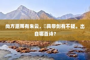 个性之鱼，游弋社会洪流，适者生存，亦不失真我