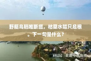 独一无二的你我，共绘世间斑斓群英图