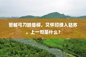 力可拔山的释义