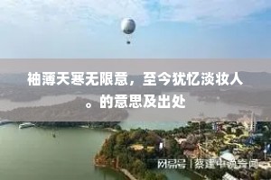 力小任重的释义