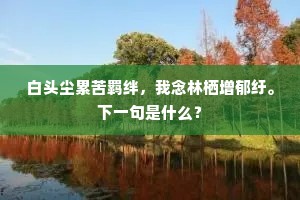 悄悄怕防闲，早被鹦哥听见。的解释