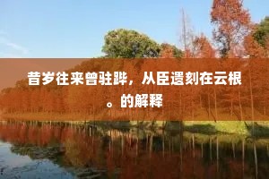 王事期程难久驻，宦途鬓发已先皤。下一句是什么？